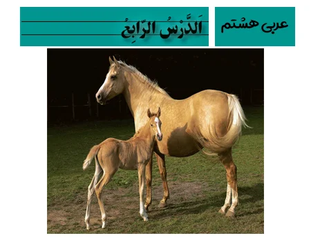 آموزش صفر تا صد عربی هشتم درس چهارم - فیلم و جزوه