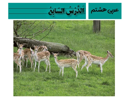 آموزش صفر تا صد عربی هشتم درس هفتم - فیلم و جزوه