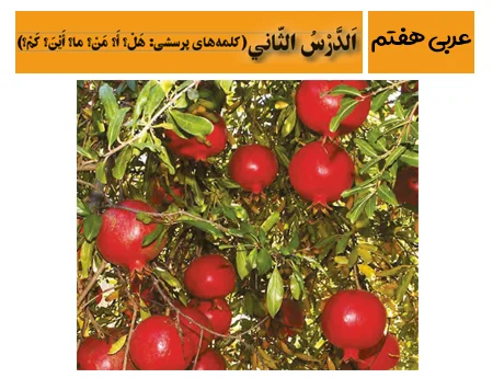 آموزش صفر تا صد عربی هفتم درس دوم - فیلم و جزوه