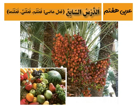 آموزش صفر تا صد عربی هفتم درس هفتم - فیلم و جزوه
